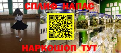 гашик Краснодар