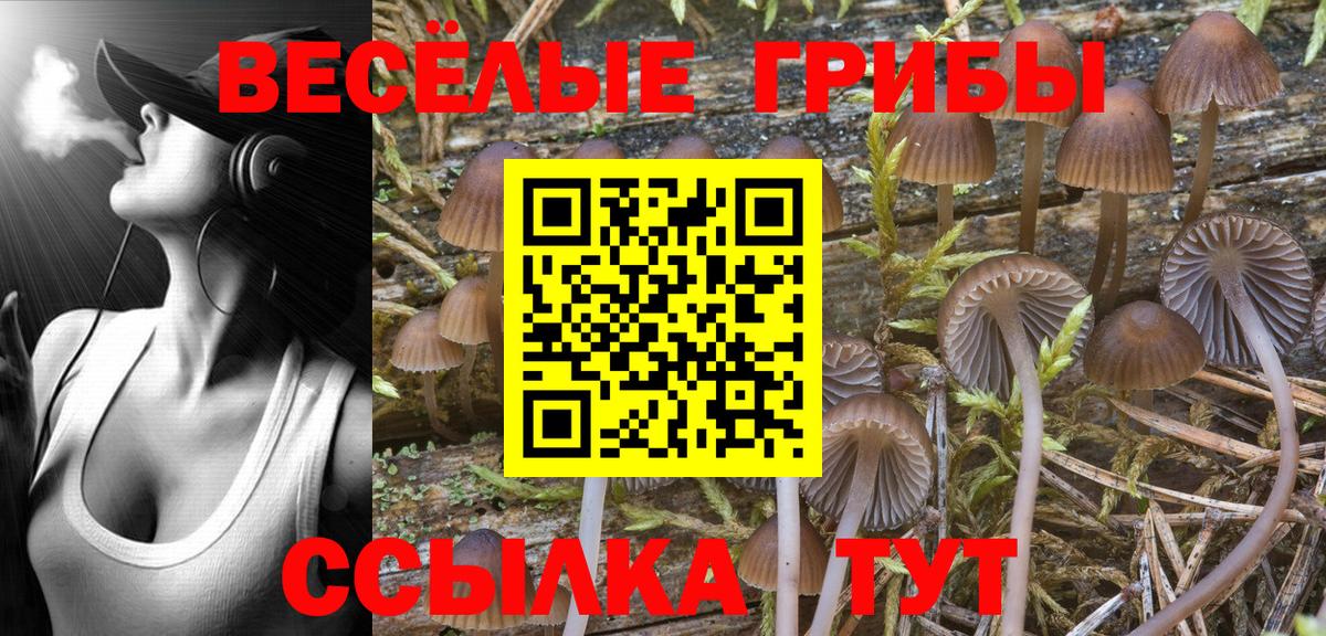 Галлюциногенные грибы мухоморы Коркино