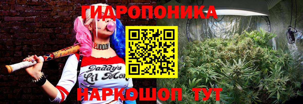 Бошки Шишки THC 21% Коркино